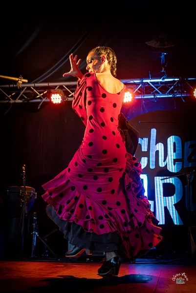 flamenco (75)